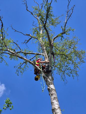 Beispielarbeit von Dominik Husemeier Husemeier Garten- und Landschaftsdienstleistungen - veröffentlicht auf Gartenbau.org