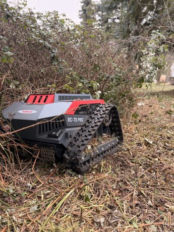 Beispielarbeit von Christian Schmidt Dienstleistung - veröffentlicht auf Gartenbau.org