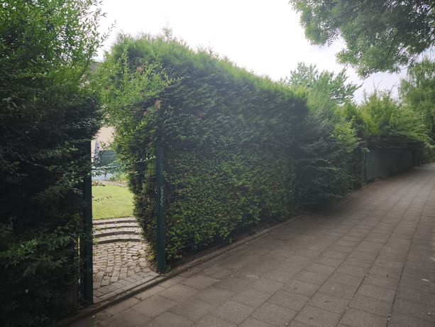 Beispielarbeit von Gartenbarbier - veröffentlicht auf Gartenbau.org