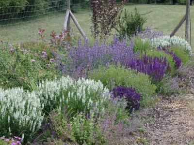 Beispielarbeit von Die Netzwerker gemeinnützige GmbH - veröffentlicht auf Gartenbau.org