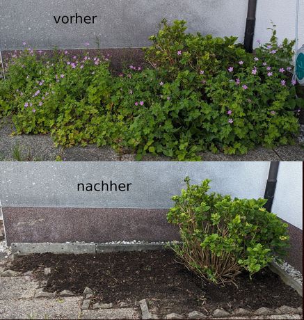 Beispielarbeit von MK Constructions - veröffentlicht auf Gartenbau.org