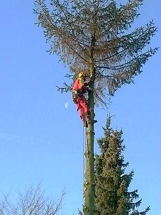Beispielarbeit von Galabau/ Baumdienst, M. Breithaupt-Heynen - veröffentlicht auf Gartenbau.org