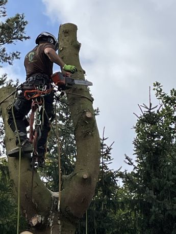 Beispielarbeit von DK-Garten- und Landschaftsbau - veröffentlicht auf Gartenbau.org