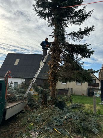 Beispielarbeit von Shumolli Garten Landschaftsbau - veröffentlicht auf Gartenbau.org