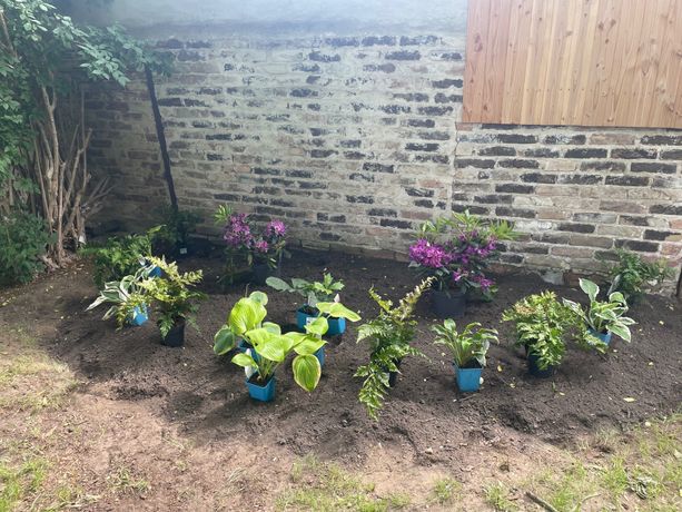 Beispielarbeit von Baum- und Gartenpflege Schifelbein GmbH - veröffentlicht auf Gartenbau.org