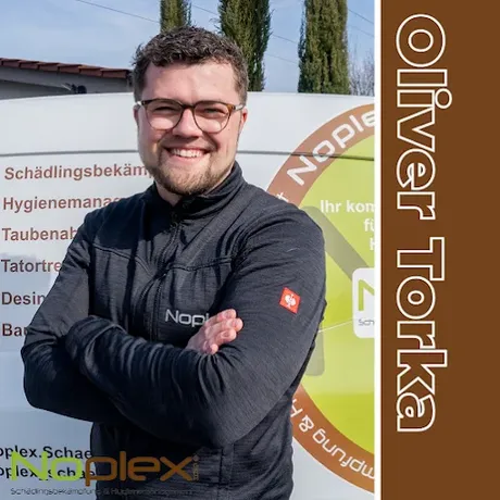 Beispielarbeit von Noplex GmbH - veröffentlicht auf Schaedlingsvernichtung.de