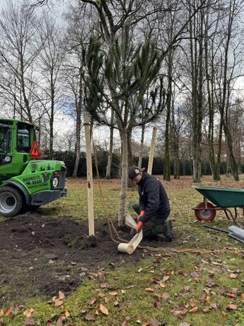 Beispielarbeit von Oachkatzl Buam GmbH - Baumpflege | Gartenbau - veröffentlicht auf Gartenbau.org