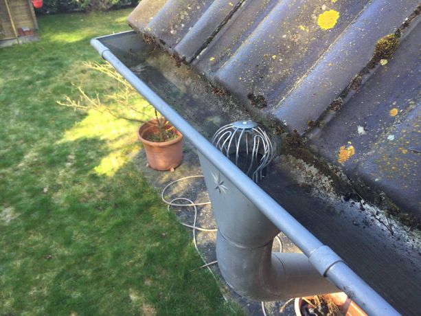 Beispielarbeit von HG - Lifestyle - veröffentlicht auf Gartenbau.org