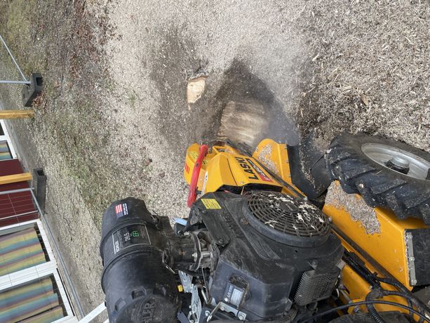 Beispielarbeit von Garten und Forstbetrieb Feibig - veröffentlicht auf Gartenbau.org