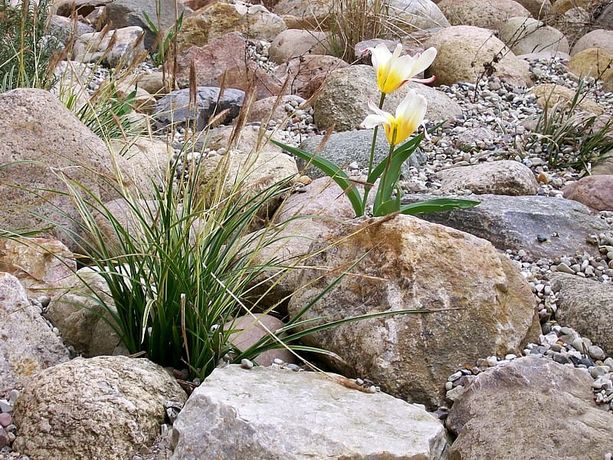 Beispielarbeit von Landschaftsbau Nord GmbH - veröffentlicht auf Gartenbau.org