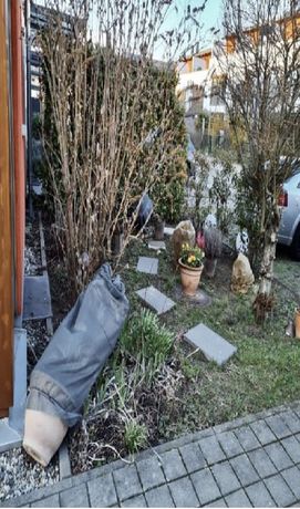 Beispielarbeit von MSM Garten und Landschaft GbR - veröffentlicht auf Gartenbau.org