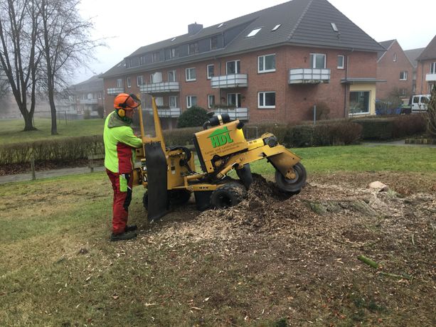 Beispielarbeit von HDL - Garten- und Landschaftsbau - veröffentlicht auf Gartenbau.org