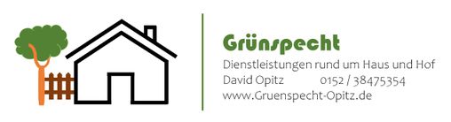 David Opitz Grünspecht in Döbra