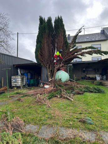 Beispielarbeit von PS Gartenbau - veröffentlicht auf Gartenbau.org