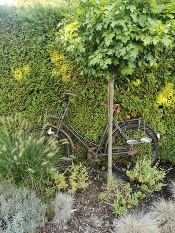 Beispielarbeit von Alexander Gruller Gruvo-HMS - veröffentlicht auf Gartenbau.org