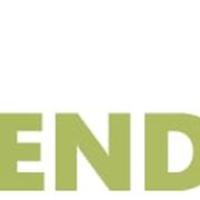 Garten- und Landschaftsbau Alexandra Ibendorf in Fürth