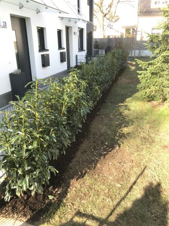 Beispielarbeit von Bamdeife Christoph Gilgen-Kunzlmann - veröffentlicht auf Gartenbau.org
