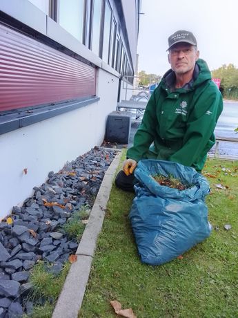 Beispielarbeit von Marcel Koop Gartenpflege UG - veröffentlicht auf Gartenbau.org