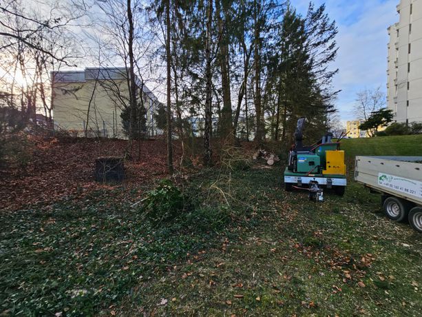 Beispielarbeit von Garten & Baumservice Lerch - veröffentlicht auf Gartenbau.org