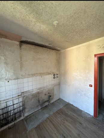 Beispielarbeit von 123 Schimmel Frei GmbH - veröffentlicht auf Gutachter.org