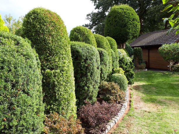 Beispielarbeit von GreenFairway e.K. - veröffentlicht auf Gartenbau.org