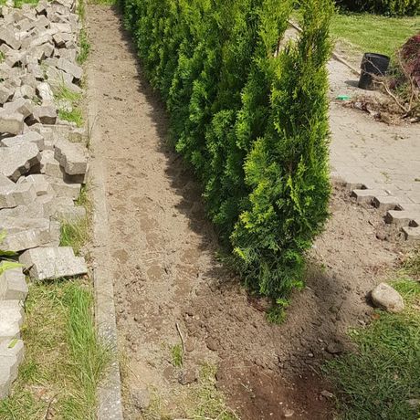 Beispielarbeit von M&D Dienstleistungen UG - veröffentlicht auf Gartenbau.org