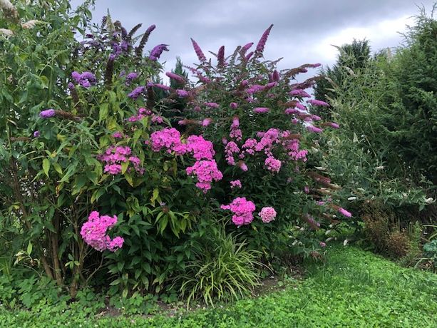 Beispielarbeit von Gartenparadies CH - veröffentlicht auf Gartenbau.org