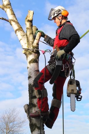 Beispielarbeit von GaLaBau Gödeke - veröffentlicht auf Gartenbau.org