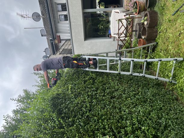 Beispielarbeit von Edgar Khachaturov Hausmeisterdienste - veröffentlicht auf Gartenbau.org