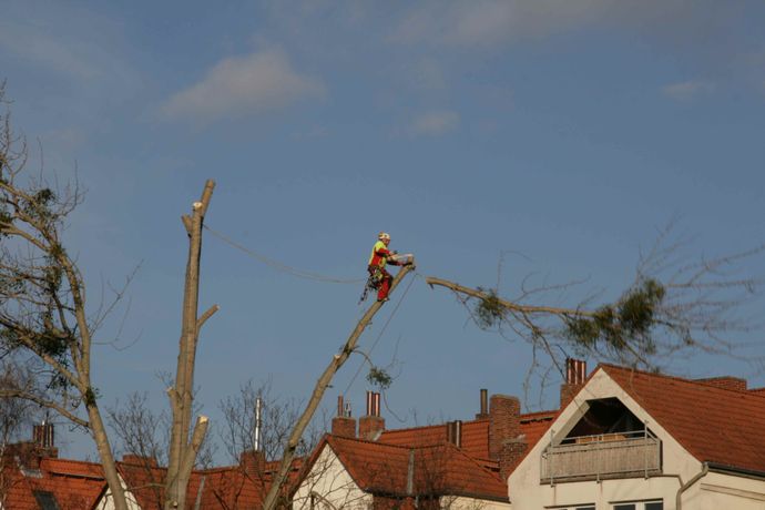 Beispielarbeit von Raschpichler Gartenbau GbR - veröffentlicht auf Gartenbau.org