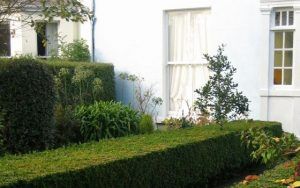 Beispielarbeit von Gärtner Herrmann - veröffentlicht auf Gartenbau.org