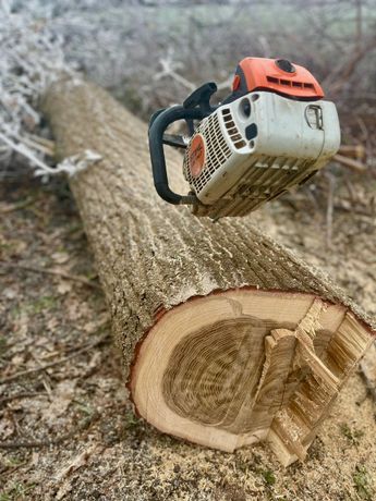 Beispielarbeit von Natur und Garten Hoppe GmbH - veröffentlicht auf Gartenbau.org