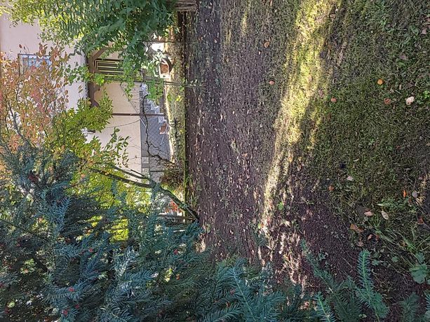 Beispielarbeit von Dimgärtner - veröffentlicht auf Gartenbau.org