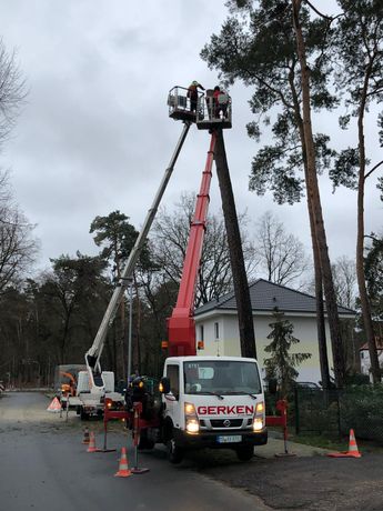 Beispielarbeit von Konstantin Wilde - Baumpflege - veröffentlicht auf Gartenbau.org