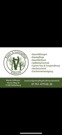 Beispielarbeit von Baum und Gartenpflege Köllmann - veröffentlicht auf Gartenbau.org