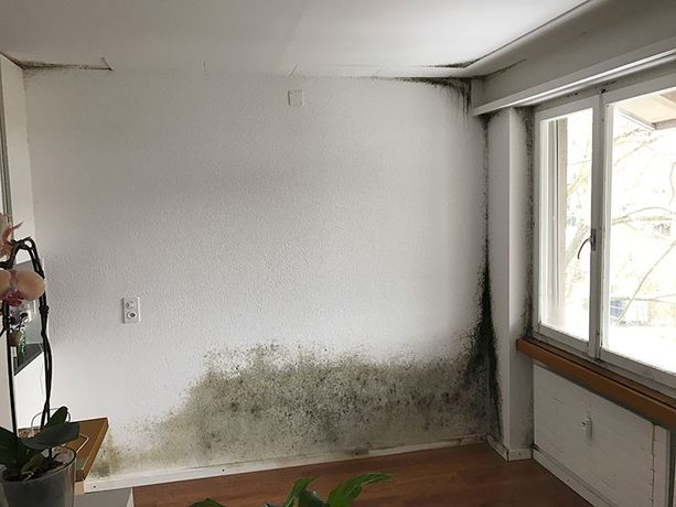 Beispielarbeit von BSVI Bausachverständigen Büro - veröffentlicht auf Gutachter.org