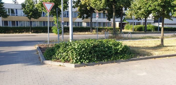 Beispielarbeit von BFM Baugewerbe & Facility Management - veröffentlicht auf Hausmeisterdienste.net