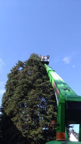 Beispielarbeit von S-O-S Dienstleistungen - veröffentlicht auf Gartenbau.org