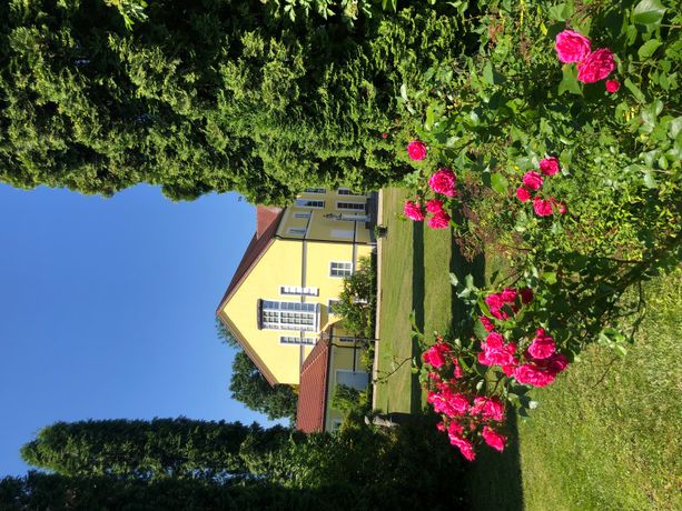 Beispielarbeit von Gartenparadies CH - veröffentlicht auf Gartenbau.org