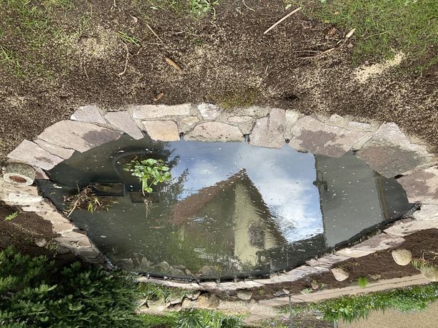 Beispielarbeit von Eichenhof Garten- und Landschaftsbau GmbH - veröffentlicht auf Gartenbau.org