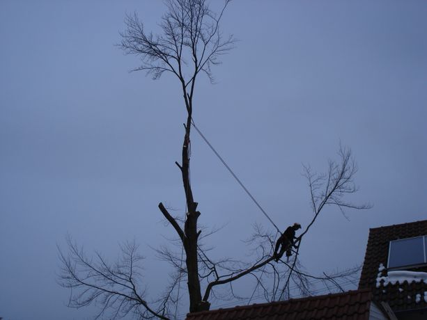 Beispielarbeit von H&B - veröffentlicht auf Gartenbau.org