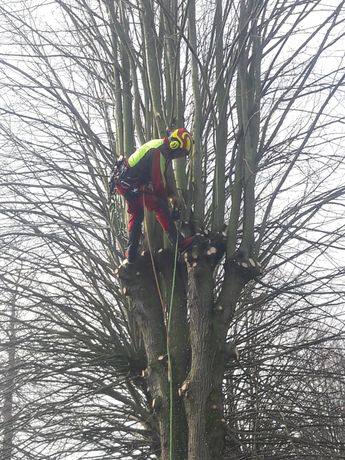 Beispielarbeit von HDL - Garten- und Landschaftsbau - veröffentlicht auf Gartenbau.org
