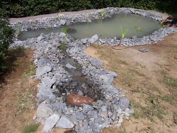 Beispielarbeit von Peter Hoffmann Gartengestaltung - veröffentlicht auf Gartenbau.org