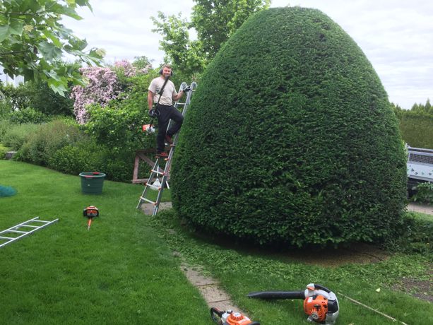 Beispielarbeit von Garten Michel - Michael Kungel - veröffentlicht auf Gartenbau.org