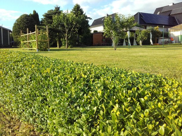 Beispielarbeit von Christian Ewig Garten- und Landschaftspflege UG - veröffentlicht auf Gartenbau.org