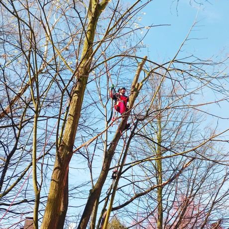 Beispielarbeit von Green Pulse Bochum - veröffentlicht auf Gartenbau.org