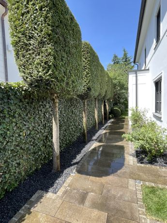 Beispielarbeit von Grünwerk Gartengestaltung - veröffentlicht auf Gartenbau.org