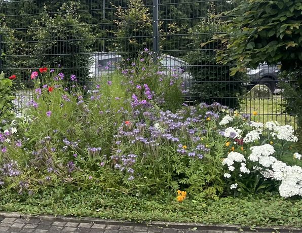 Beispielarbeit von Zündholz Gartenservice GmbH - veröffentlicht auf Gartenbau.org
