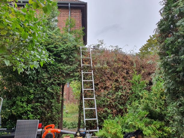 Beispielarbeit von Team Wester Garten Landschaftbau GbR - veröffentlicht auf Gartenbau.org