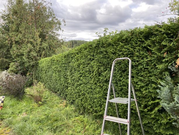 Beispielarbeit von Adlan Garten und Landschaftsbau & Gebäudereinigung - veröffentlicht auf Gartenbau.org